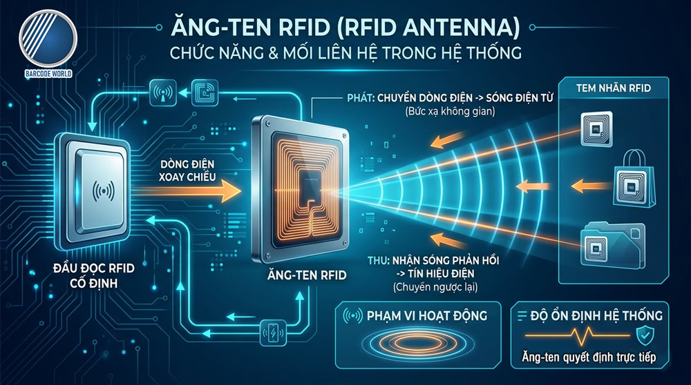 Ăng-ten RFID là gì? Định nghĩa và chức năng trong hệ thống RFID Ăng-ten RFID là gì? Định nghĩa và chức năng trong hệ thống RFID