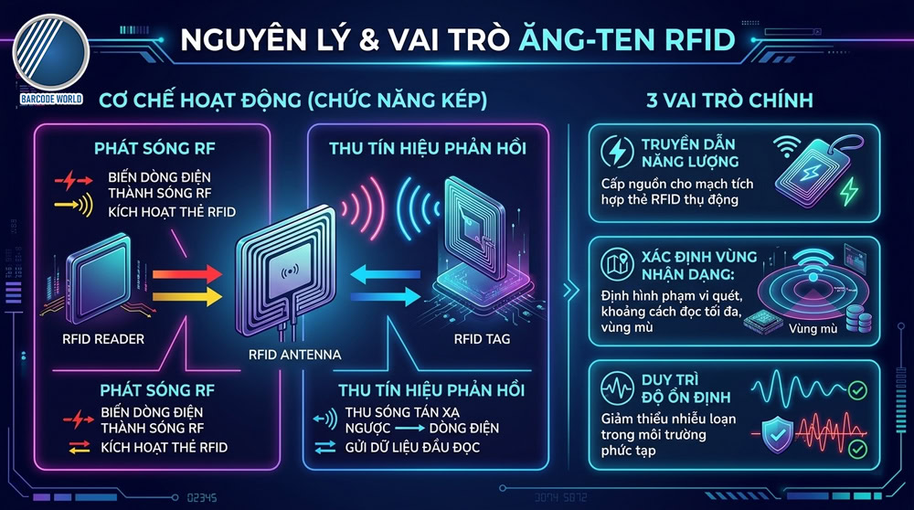 Nguyên lý hoạt động và vai trò của ăng-ten RFID trong hệ thống RFID Nguyên lý hoạt động và vai trò của ăng-ten RFID trong hệ thống RFID