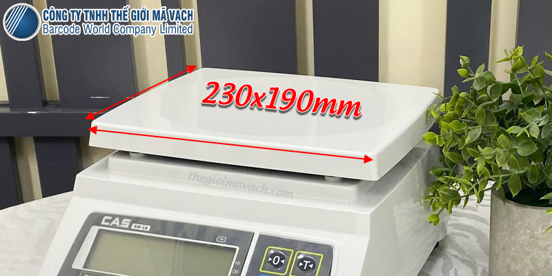 Mặt cân CAS SW-1A rộng 230x190mm Mặt cân CAS SW-1A rộng 230x190mm